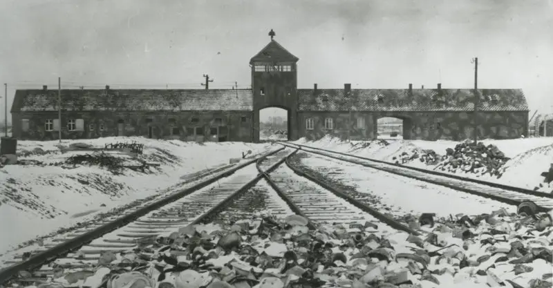 AuschwitzAnIntroduction_1-800x417