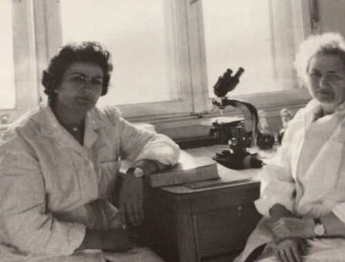 Sylvia Hoișie