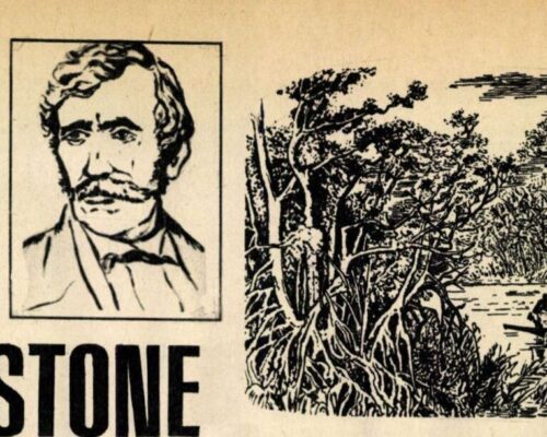 David Livingstone