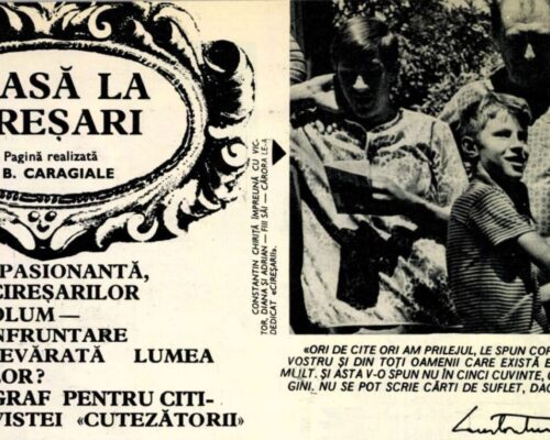 Cireșarii