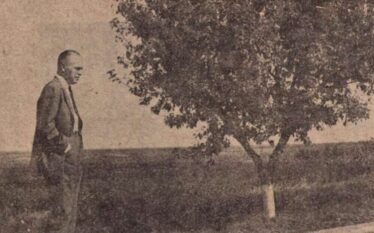 Zaharia Stancu