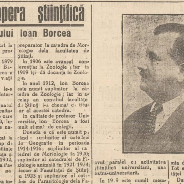 Ioan Borcea