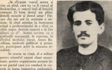 Toni Bacalbașa