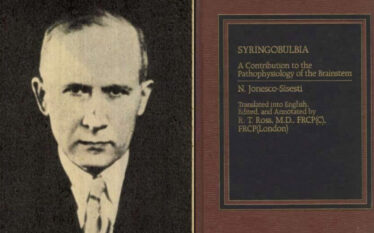 Nicolae Ionescu-Siseşti