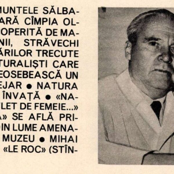 Mihai Băcescu