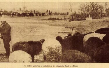 Mănăstirea Pasărea