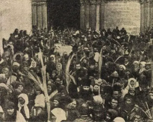 Florii