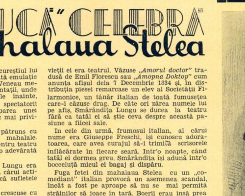Mahalaua Stelea