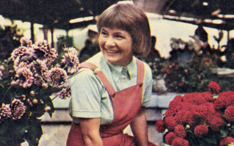 Alexandrina Halic