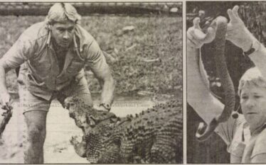 Steve Irwin