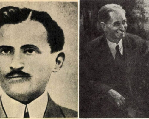 Vuia