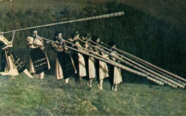 Găina