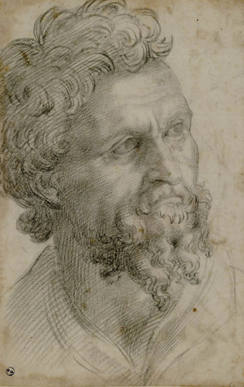 800px-Portrait_of_a_bearded_man._Cellini,_Benvenuto Cellini