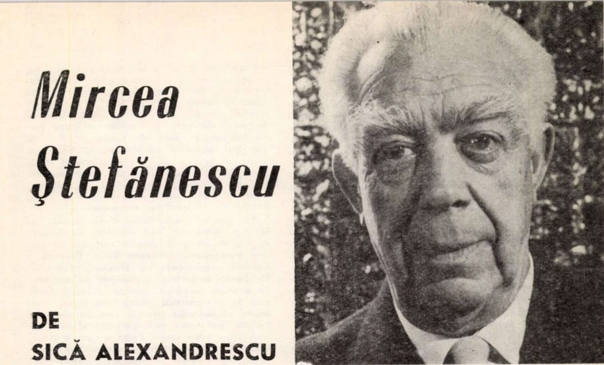 Mircea Ștefănescu