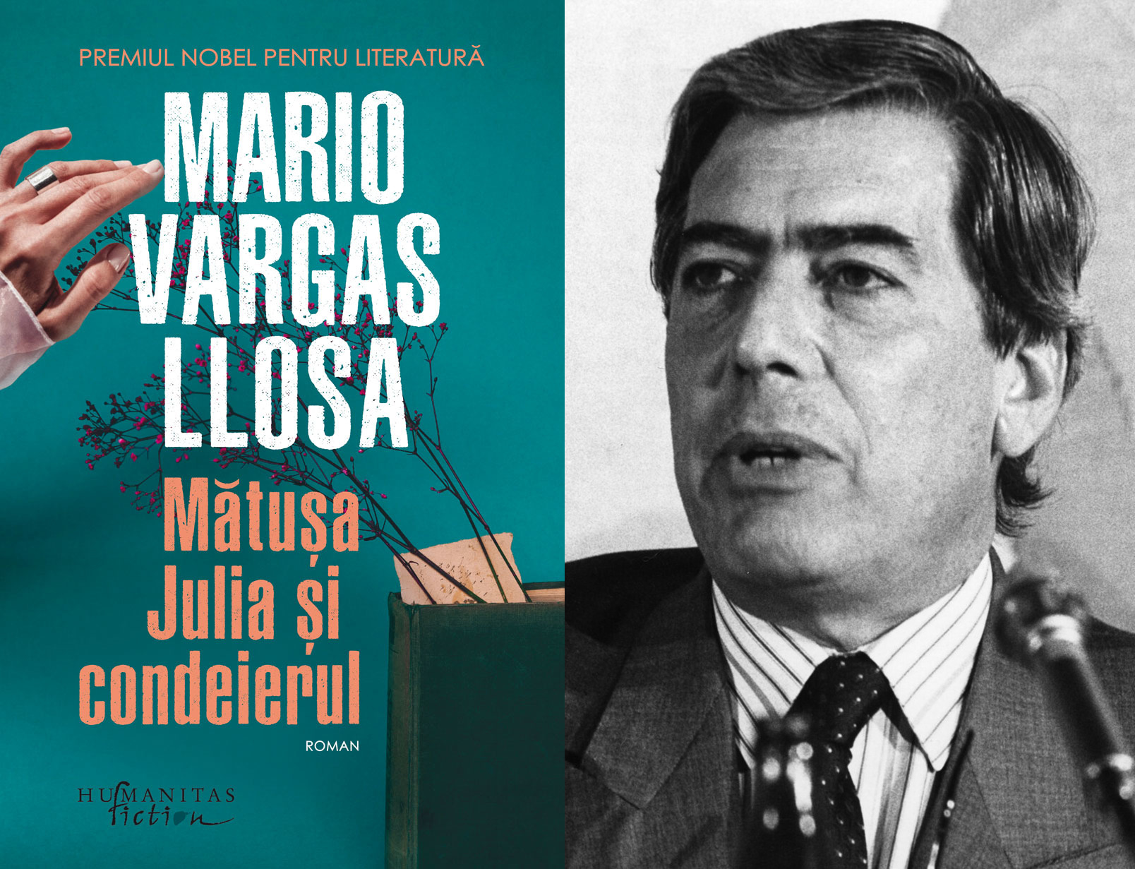 Llosa