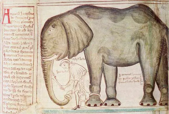 Paris.elefant Turnul Londrei