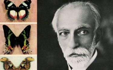 Aristide Caradja