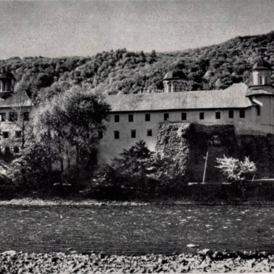 Tudora