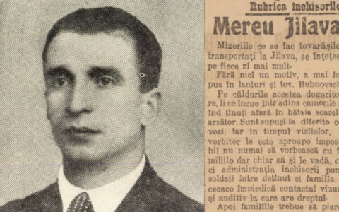 Iliescu