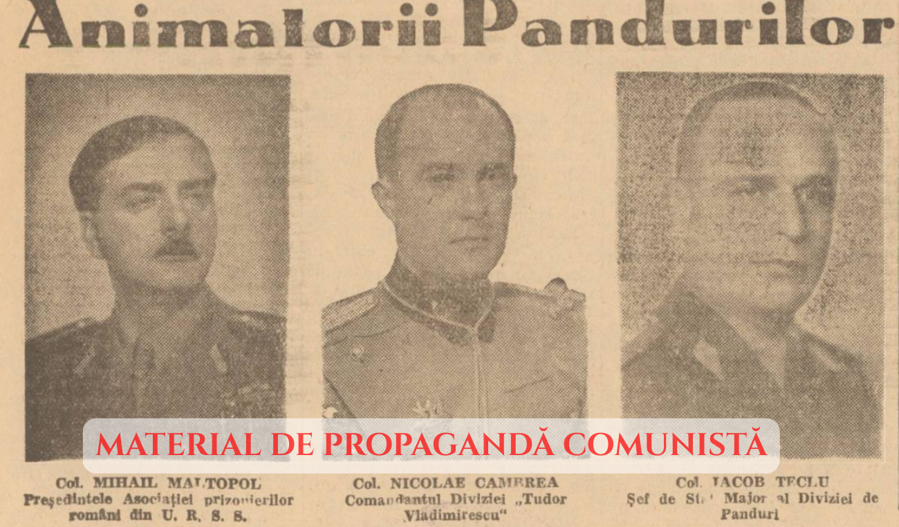 6 Divizia Tudor Vladimirescu