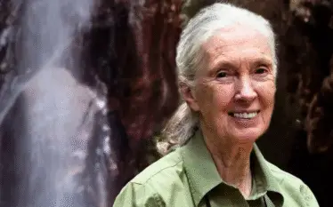 Jane Goodall