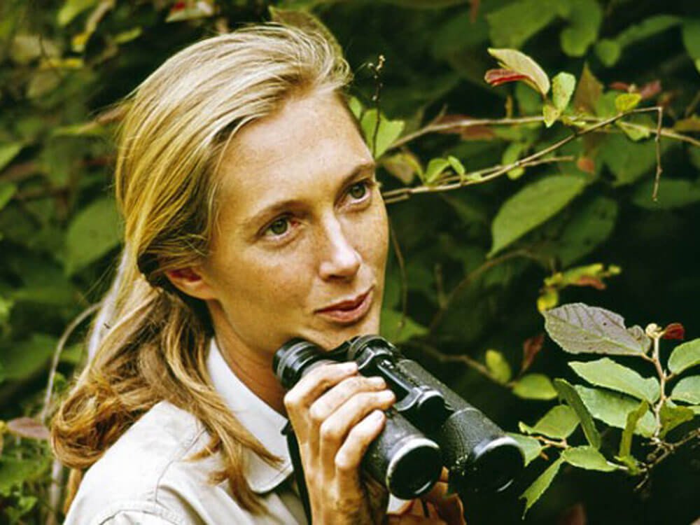 gallery_06_jg3 Jane Goodall