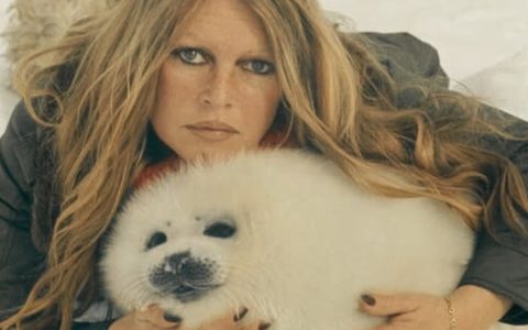 Bardot