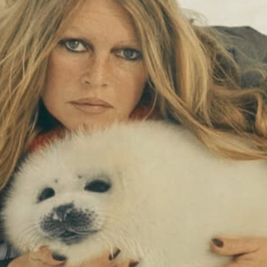 Bardot