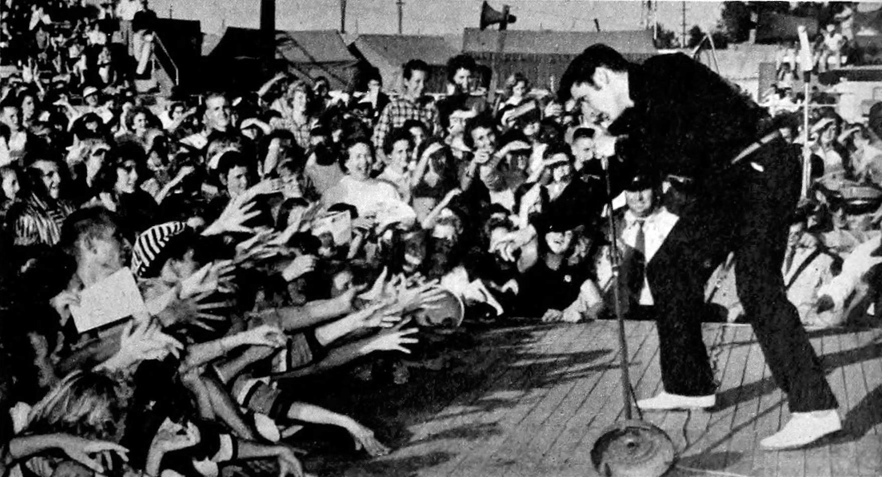Elvis