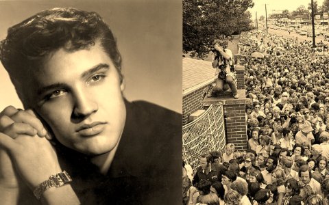 Elvis